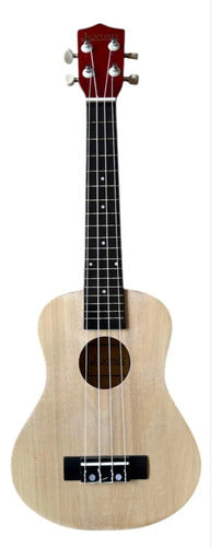 Ukulele Jendrix Concierto Modelo Uk-02co Color Funda